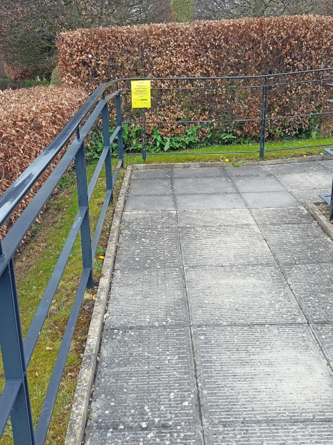 path surface and handrail