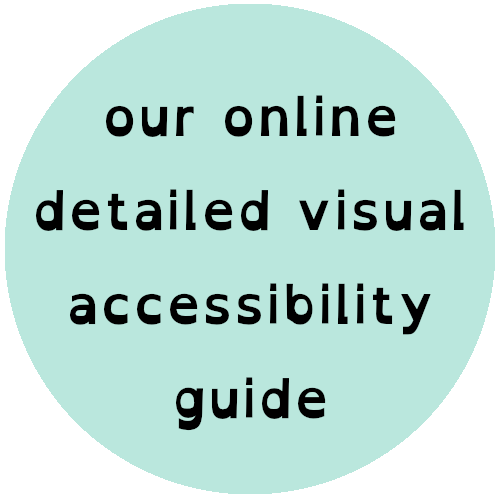 Visual Accessibility Guide icon