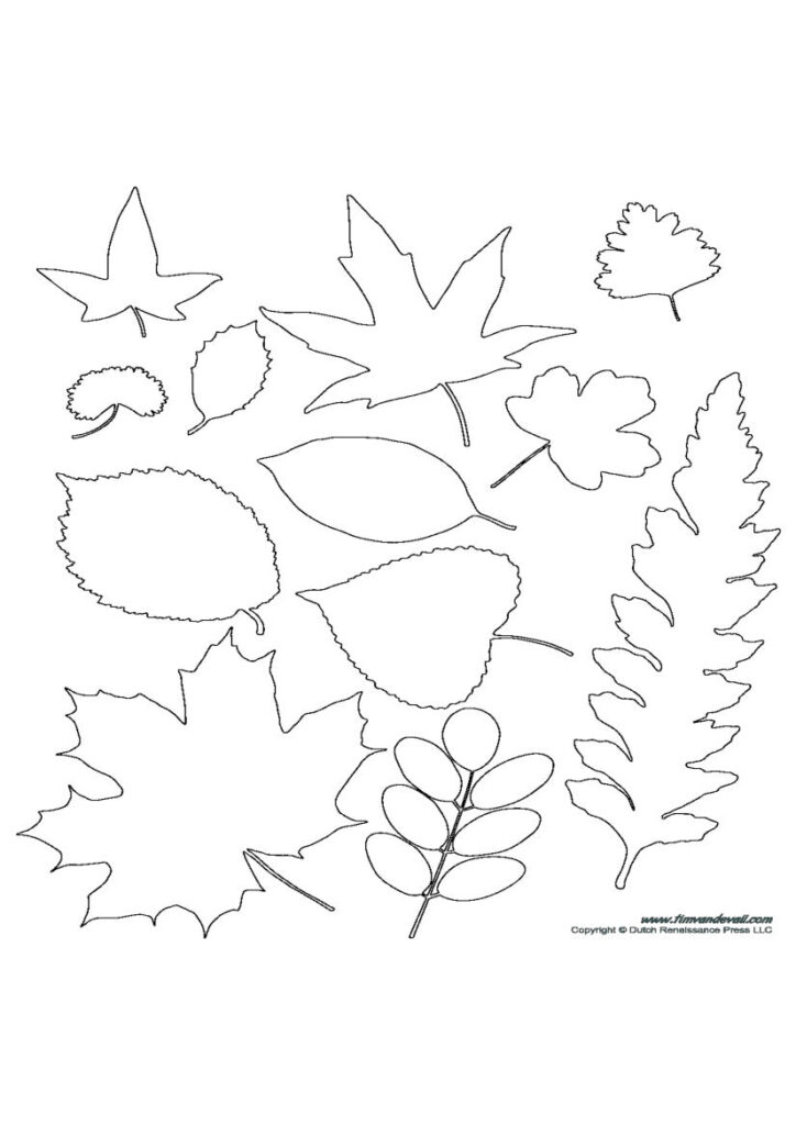 Autumn Leaf Wreath Template image